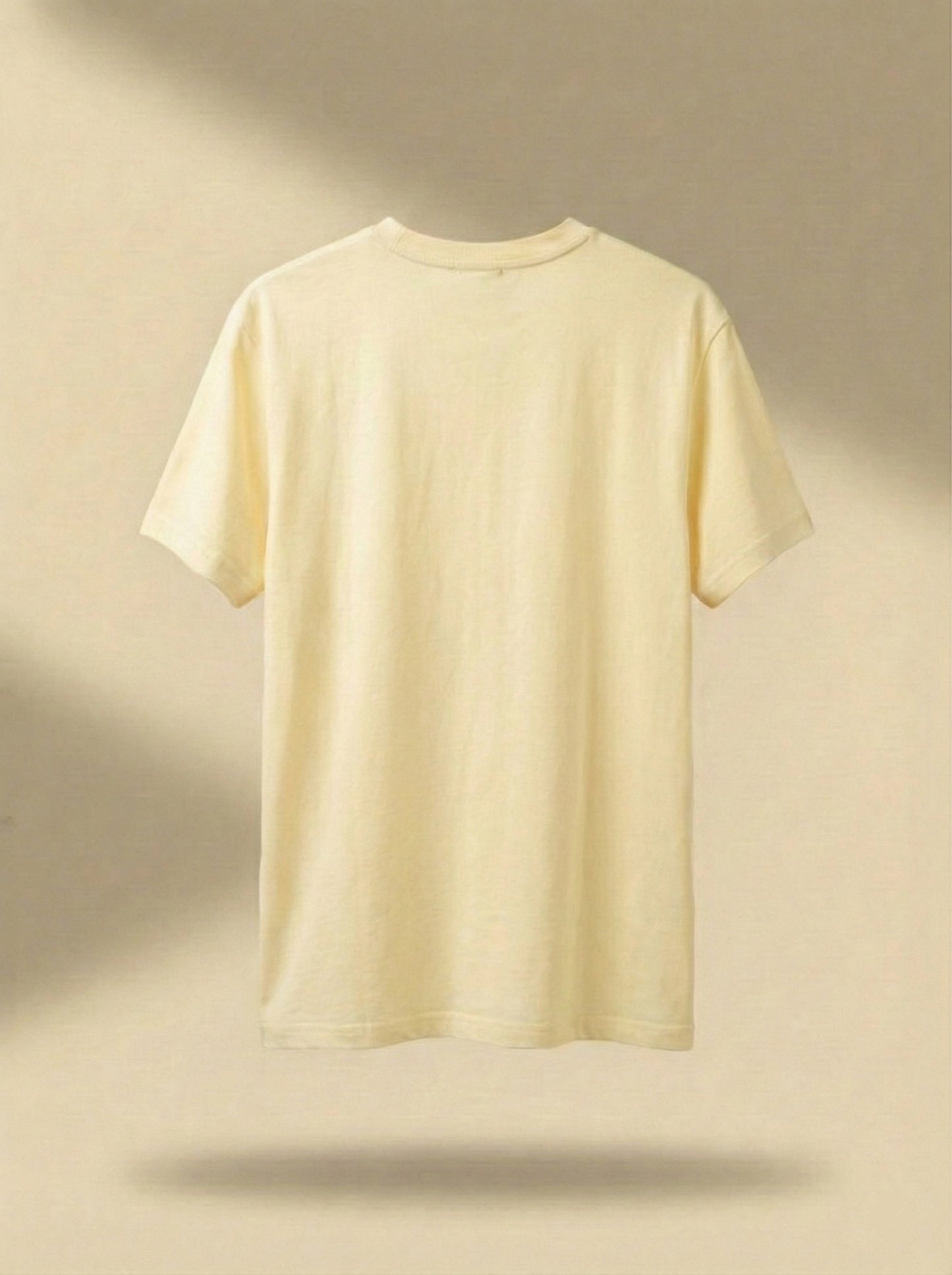 S&C T